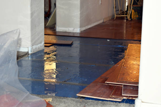 Professional Basement Flood Cleanup technician working in Woodburn, KY