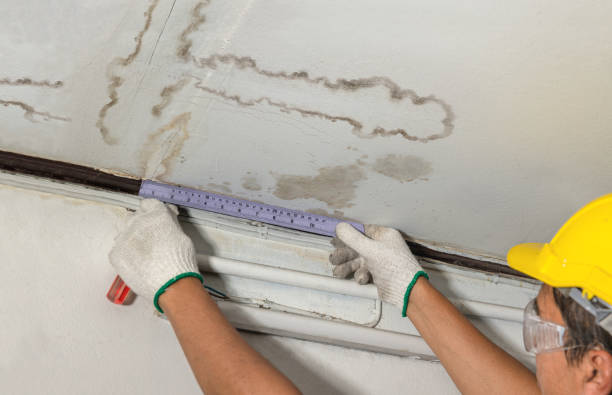 Reliable Basement Flood Cleanup contractor in Woodburn, KY by Aqua Guard Water Damage